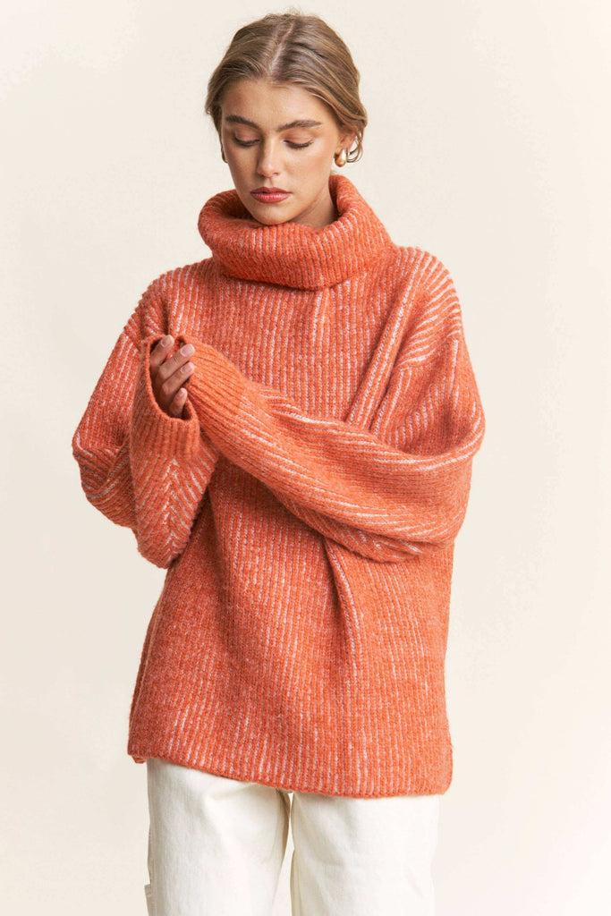 Knit Turtleneck Sweater (2 colors)